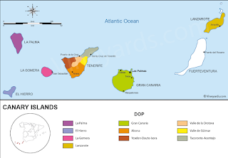 Grape Spotlight: Canary Islands Lanzarote DO Listán Negro Through the La Geria Winery Rosado