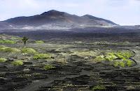 Grape Spotlight: Canary Islands Lanzarote DO Listán Negro Through the La Geria Winery Rosado