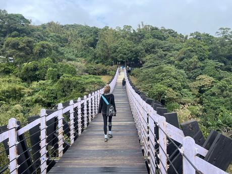 A lush green suspension bridge surrounded by dense forest, with a person walking along its wooden planks toward a pathway at the far end.