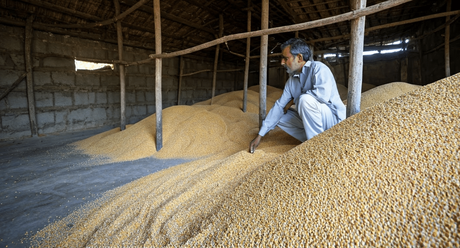 Food Grain Storage Warehouse