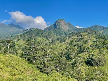 view-of-knuckles-mountain-range-in-sri-lanka