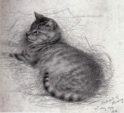 Monday 16th December - Catnap