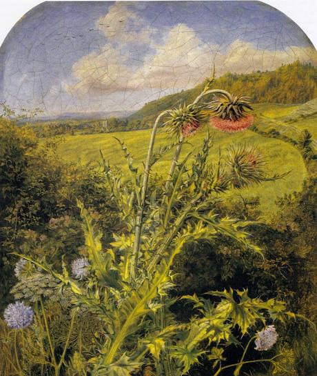 Monday 16th December - Catnap