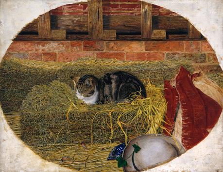 Monday 16th December - Catnap