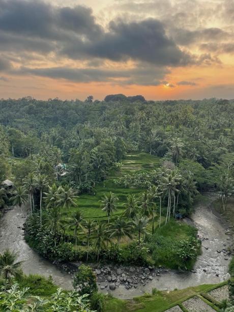 A sweeping curve of a river surrounded by lush green jungle in Sayan, near Ubud, Bali