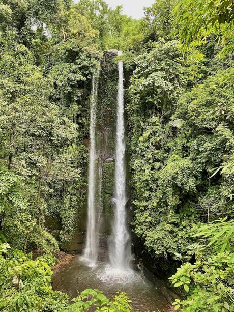 A tall, twin waterfall surrounded by lush green vegetation in a tropical forest.