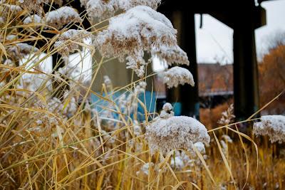 Friday fotos: Graffiti in Winter, Jersey City, 2008