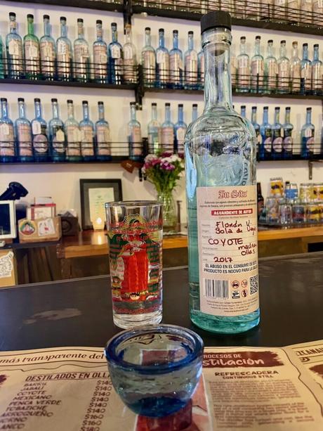 A bottle of mezcal and a glass on a wooden bar counter, with shelves full of mezcal bottles in the background, at a bar in Oaxaca.