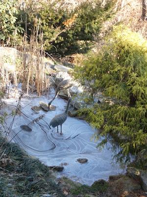 Ice Patterns