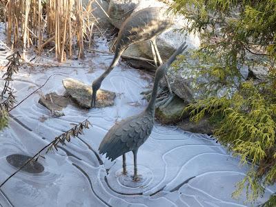 Ice Patterns