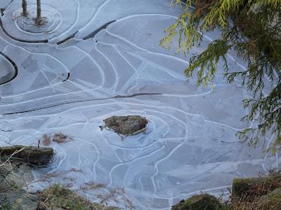 Ice Patterns