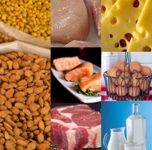 high protein food list