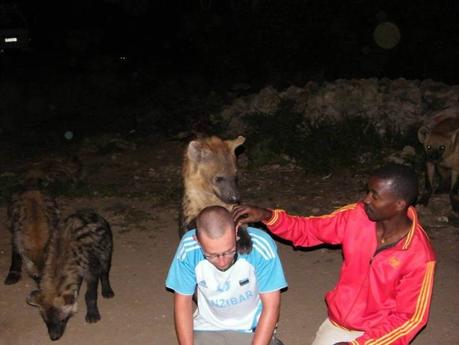 Alex Tiffany wearing a Zanzibar football shirt with a wild hyena climbing on his shoulders while a man in a red jacket feeds the hyena