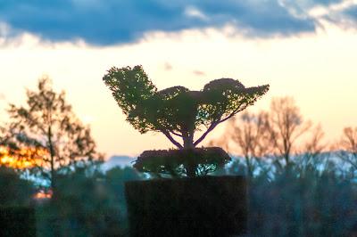 Christmas at Longwood Gardens