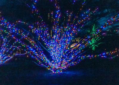 Christmas at Longwood Gardens