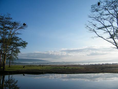 Backpacking-kenya-lake-naivasha