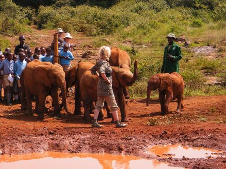 A group of young elephants standing near a muddy waterhole, surrounded by schoolchildren in blue uniforms and adult caretakers at a wildlife sanctuary in Nairobi.