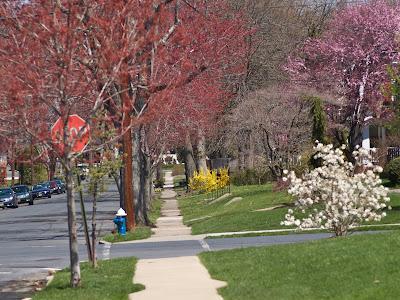 Spring in Maplewood, NJ