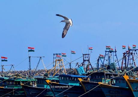 “நரை கூடிக் கிழப்பருவ மெய்தி-