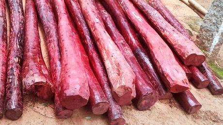 ఊ అంటావా మావా  !  ~  the demand paradox of Red Sanders