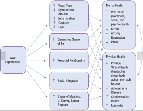 Awe as a Pathway to Mental and Physical Health