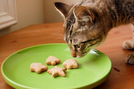 Ten Easy Recipes for Healthy Homemade Cat Treats