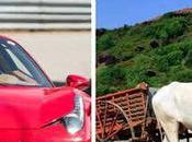 Stuck Sand Great Danger Ferrari Worth Several Crores, Rescue Brought Cattle Car!