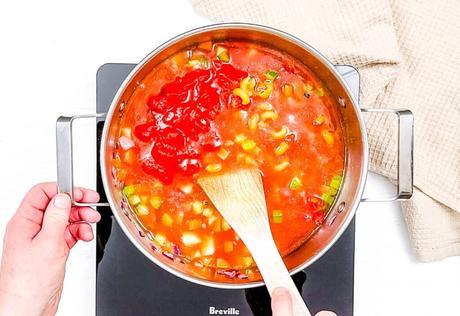 Vegan Minestrone Soup