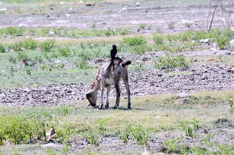 friendship    ~    நட்பிற்கு வீற்றிருக்கை