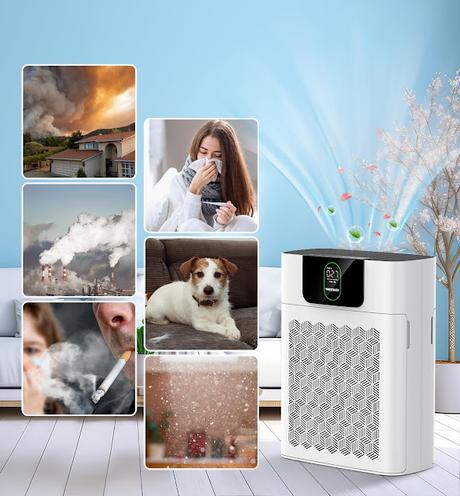 Image: HEPA Air Purifier for Home: Smoke, Pollen, Pet Hair, Odor