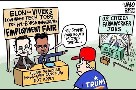 Foreigners For Good Jobs - Not Americans!