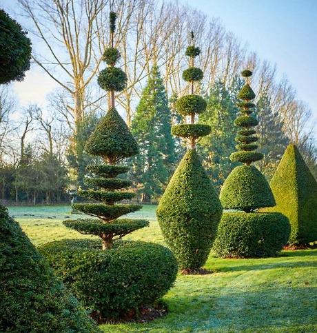 Topiary Art