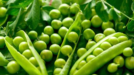 Best Protein Sources for Vegetarians Green Peas Vegetarian Protein Source