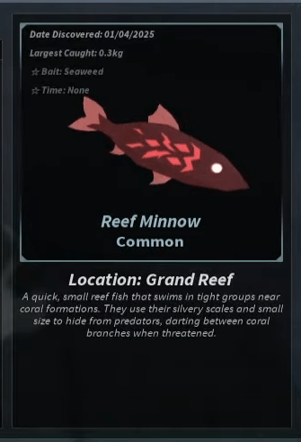 reef minow fish in fisch game