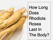 Long Does Rhodiola Rosea Last Body?