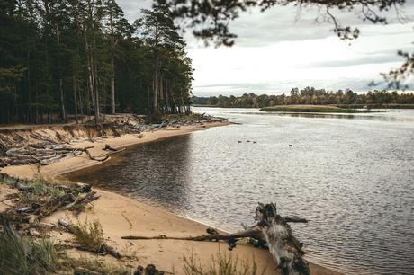 20 Best Places to Visit in Latvia shores-of-river-gauja-national-park-in-latvia