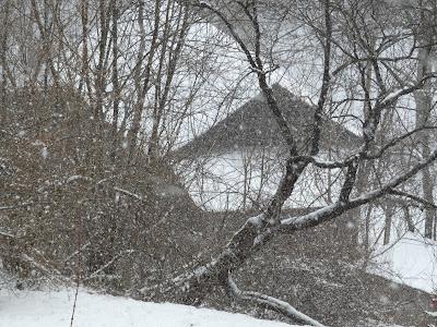 Snowy Morning