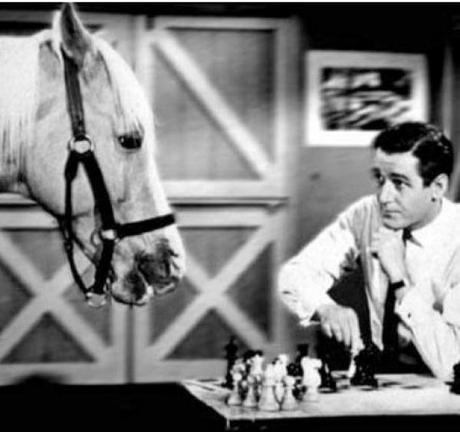 Horse playing Chess