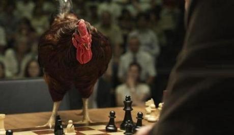 Chicken Playing Chess