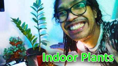 indoor plants for small condo units, plantito lifestyle, indoor gardening tips, urban gardening, best indoor plants for apartments, ZZ Plant care, Peace Lily care, Snake Plant benefits, air-purifying plants, low-maintenance plants, condo gardening ideas, indoor plants for beginners, plant care tips for small spaces, indoor plant inspiration, urban gardening for small spaces, stylish indoor plants, small apartment gardening, lockdown hobbies, transforming condo into green oasis, plant parent guide, indoor plant aesthetics, indoor gardening benefits, small space gardening tips, air-purifying indoor plants, how to care for Peace Lily, ZZ Plant watering schedule, best plants for low light, easy-care indoor plants, urban plant enthusiasts. 