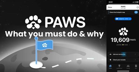 Paw's airdrop eligibility check update Paw's airdrop eligibility check update