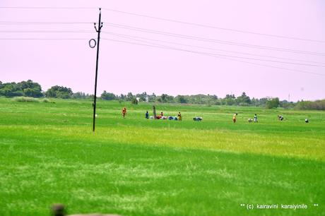 *போற்றி பாடுங்கள் !!    சொந்த ஊர்  Dusi Mamandur  புகழ் பாடுங்கள் !*