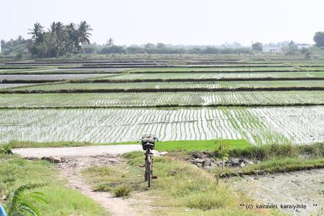 *போற்றி பாடுங்கள் !!    சொந்த ஊர்  Dusi Mamandur  புகழ் பாடுங்கள் !*