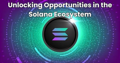 Looking for the next gem on Solana ecosystem Looking for the next gem on Solana ecosystem