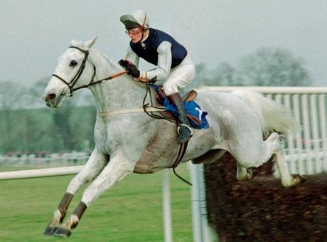 Desert Orchid’s Cheltenham Gold Cup win