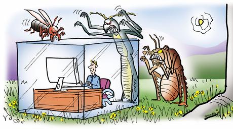 The Perils of Letting Down Your Guard