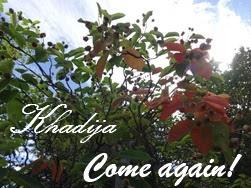 GÂTEAU À LA BANANE ET AU CHOCOLAT / CHOCOLATE BANANA CAKE / BIZCOCHO DE CHOCOLATE Y BANANA / كيك الموز والشوكولاتة GÂTEAU À LA BANANE ET AU CHOCOLAT / CHOCOLATE BANANA CAKE / BIZCOCHO DE CHOCOLATE Y BANANA / كيك الموز والشوكولاتة