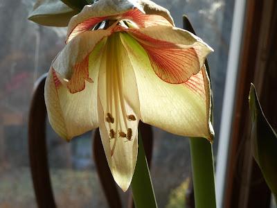 Unpleasant News Unpleasant News