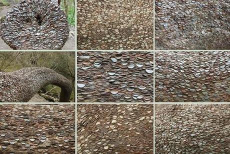 Tree covered in coins