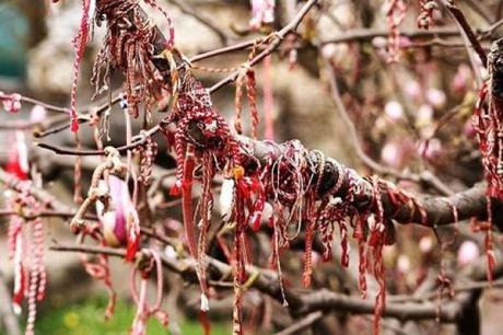 Tree covered in red and white bracelets